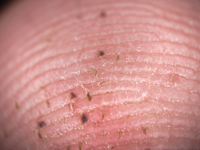 ��� ��� �������� ������ ����� ����� ���� ���� �������.