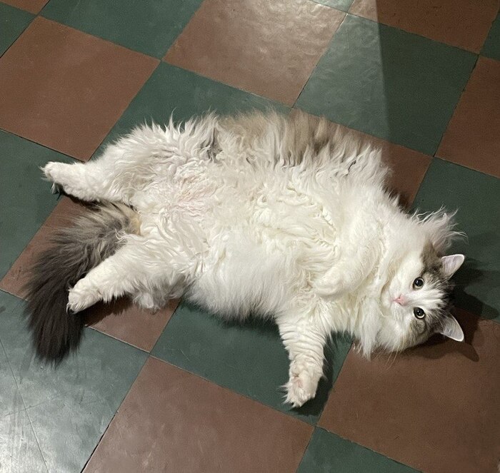 �������� �������)