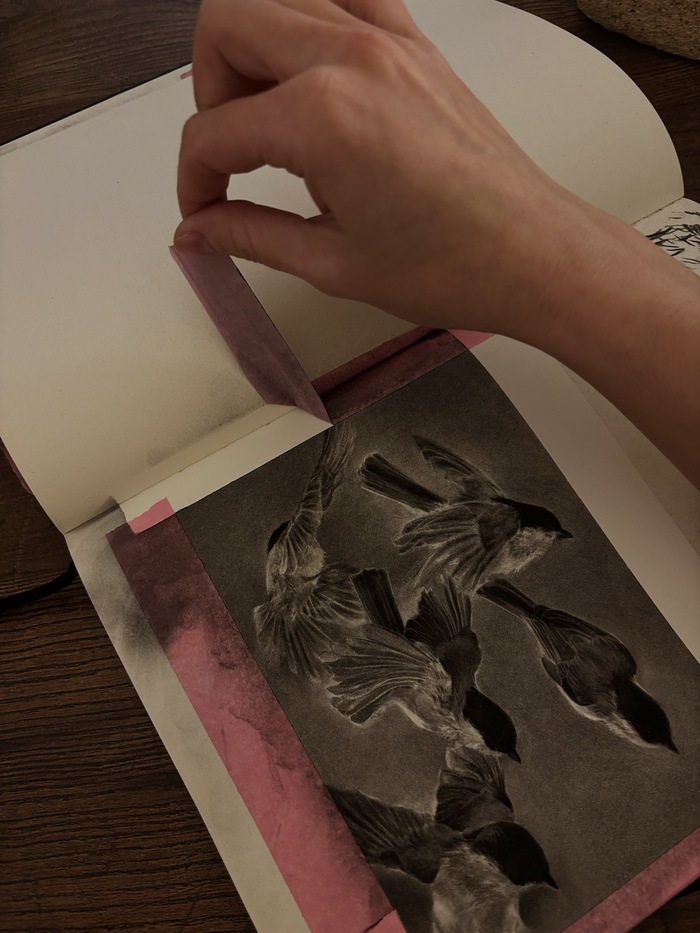 ���������� � ������ ����������.