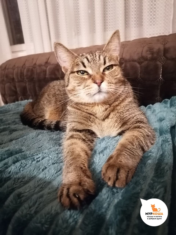 ������ ����