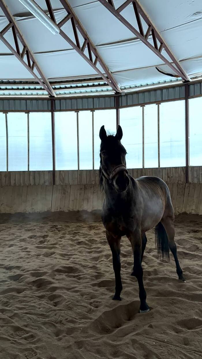 ����� � ������