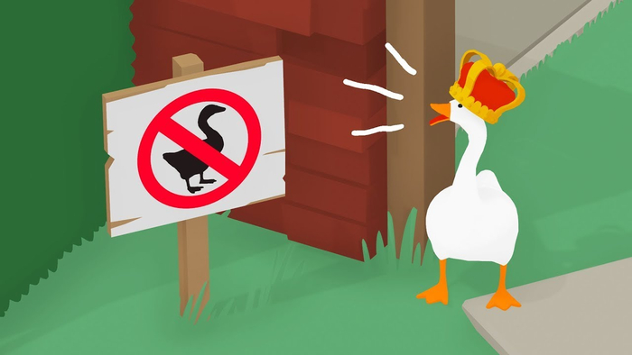 ���� �� ����