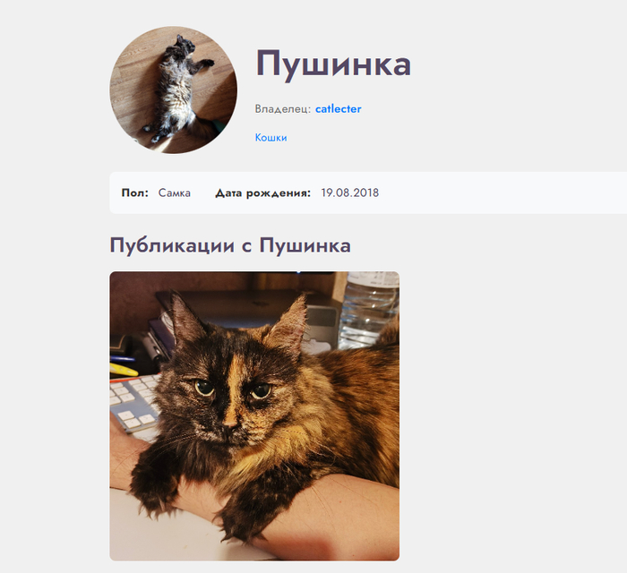 ������ ����������. ������� ���� - ���� ������ ������� � �������� ����� � ����!