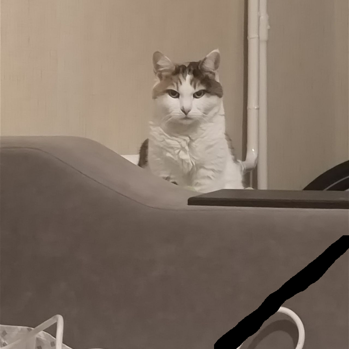 ��������� ���� � ������, ����� ��� ������ ���������, ����� ������, ��������� ������� ����.