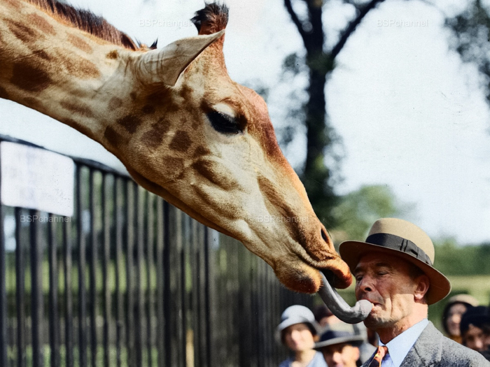 ���� ��� �������