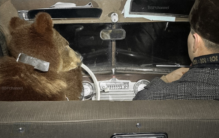 ��������: ����� �����-�����������