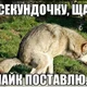 ����� ����� ������ ���� �����������