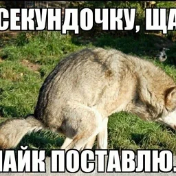 user6350687