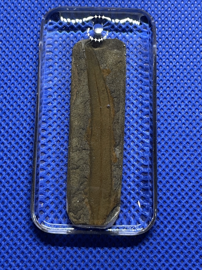 ������� ����, ���� ������������� ����������� ���� ������������. ������������ � ������������ ���, ��������������� ������� (������) 298-358 ��� ��� �����.