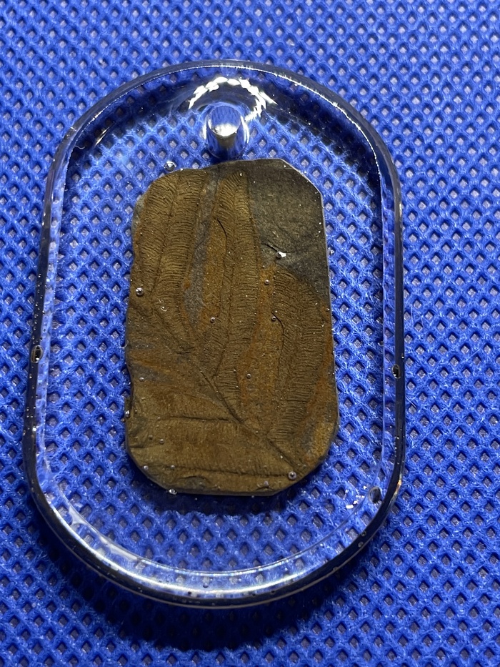 ������� ���� ������������� ����������� ���� ������������. ������������ � ������������ ���, ��������������� ������� (������) 298-358 ��� ��� �����.