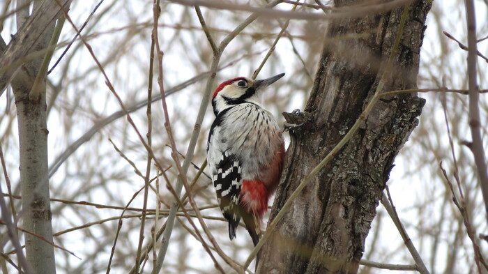 ����������� �����. +1 � ���������!