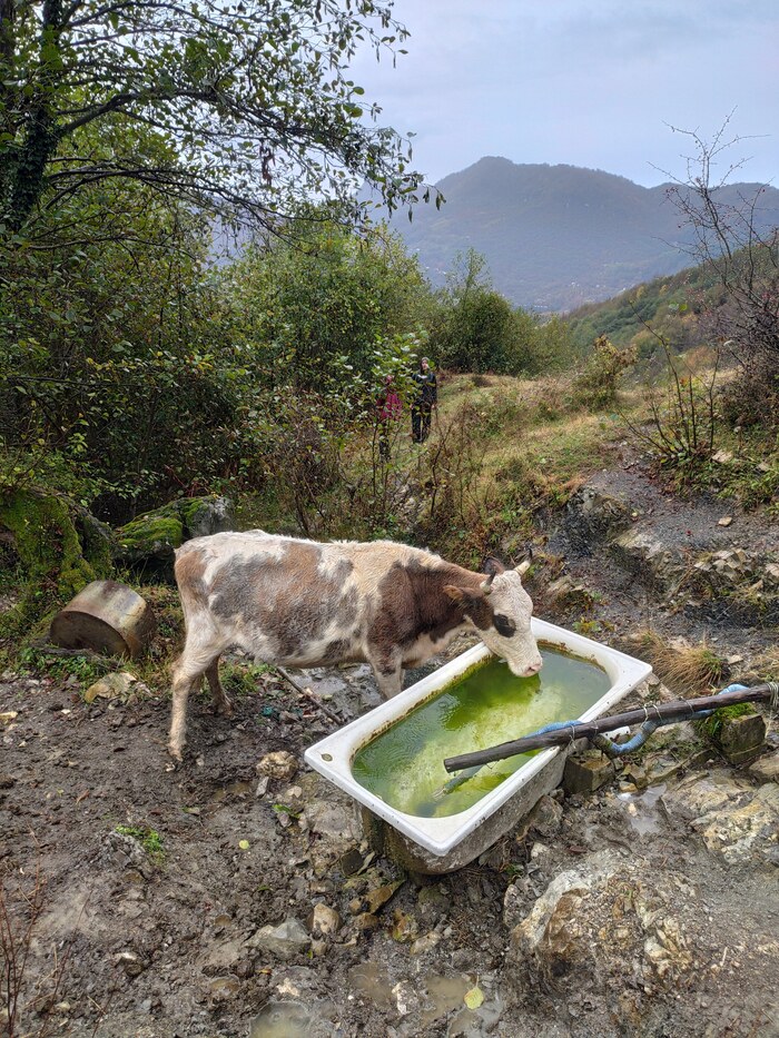 ������ ������ ���� ���� � ��������� �� �� �������.