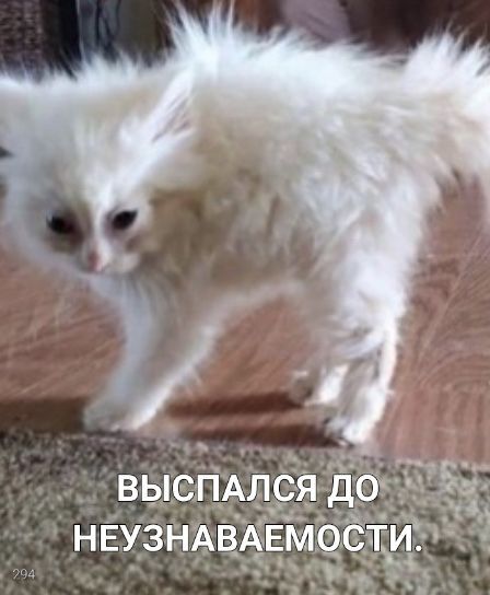 � ���� ������� ����, �� ����� ���, ����� ��� � �� �������. 