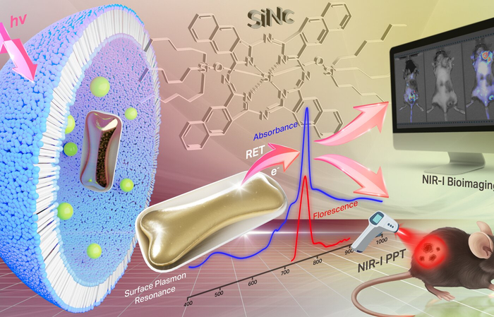 ������ ����������� ������������ ����������� ������������� �������������� ��� ���������������� ����������� �������� � ������� ������� ������