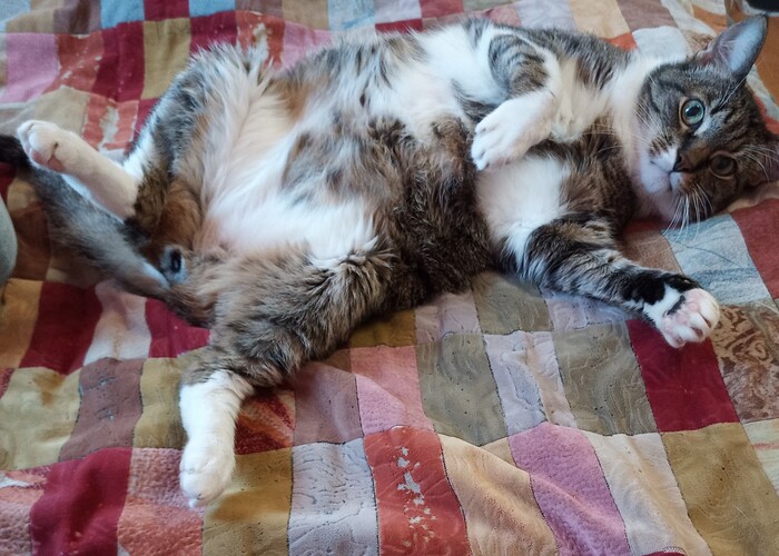 �� ������ �� �������. �� ��� ����� ���� ���������� ���� �������, �����, ����� � ������, �� ���� �� ���� �������, ��� � ���� ������ ���-�� ���� �� ���.