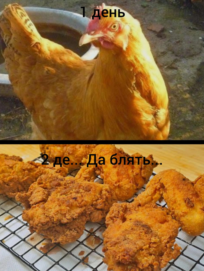 ������� �������� ������ ������� 100 ���� ������