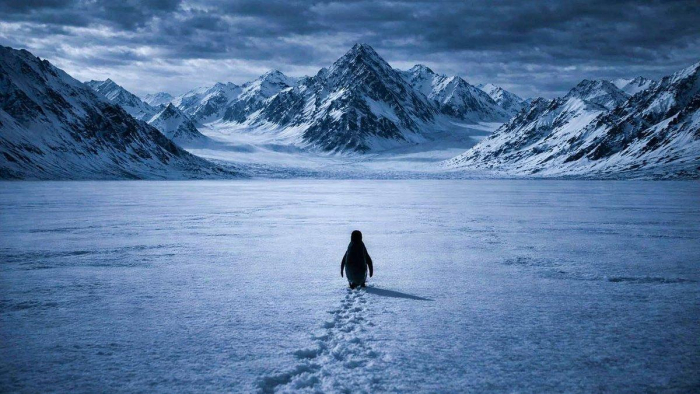 ��������� ������� ������� ������ ����� ������������