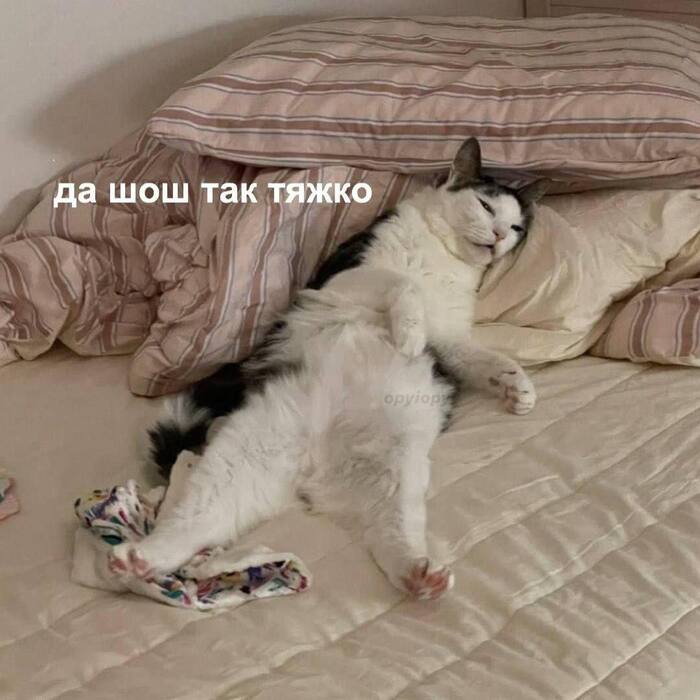 ��� ����-���� � �������