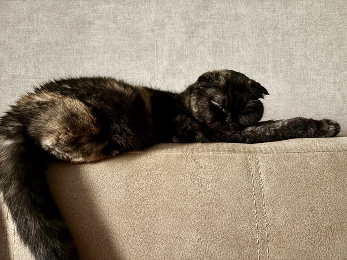 ��������� ����� ��������