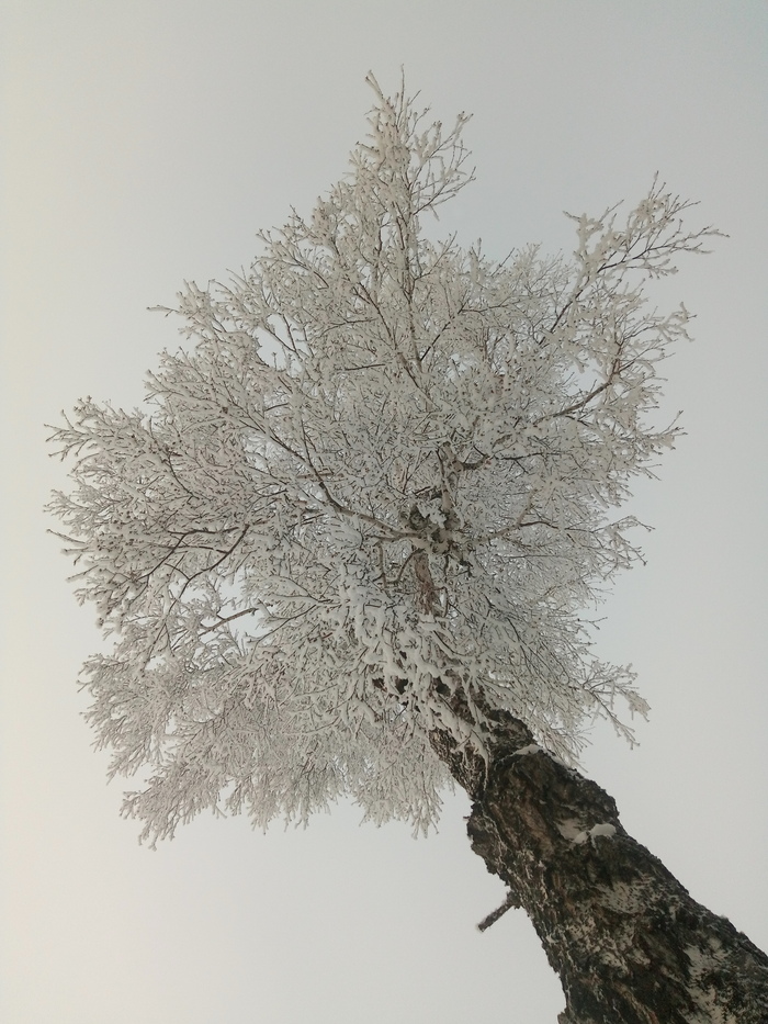 ������ ������ ���� �� ������