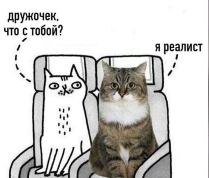 ������ ���� � ���� �����