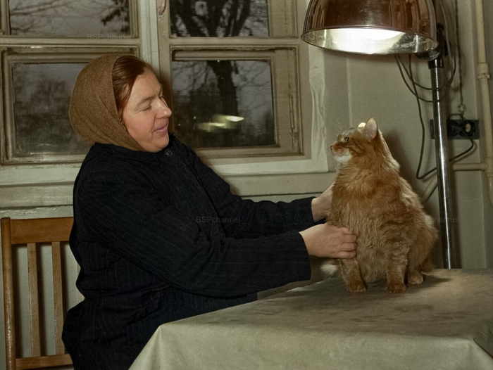 ��������: ����� �������