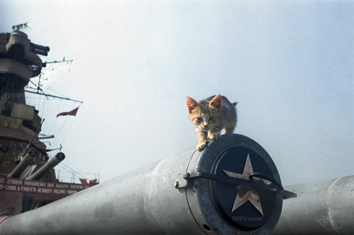 ��������: ������� ������