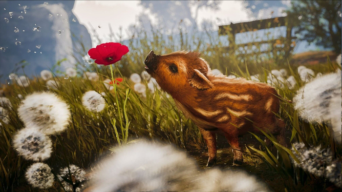 ������������ ��������� ��� ��������� ������ Adorable Adventures ������ � ���� ����