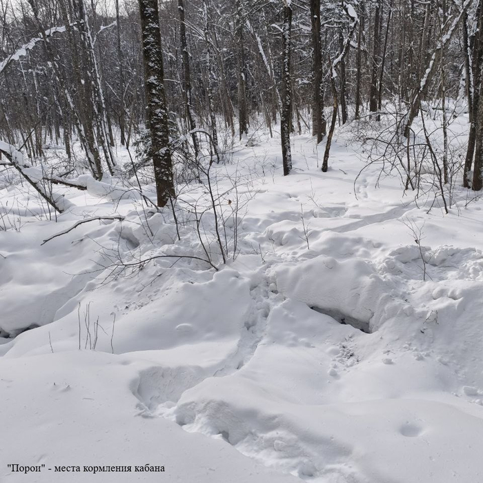 �� ������� �������������� ����������� � ����� ��������� �������� ����� ������� ������ (��������) ������ ��������