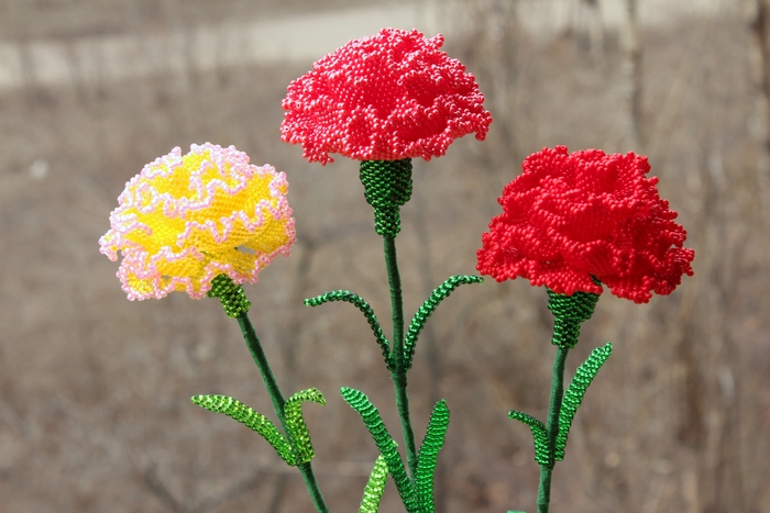 �������� ��������� ���������!