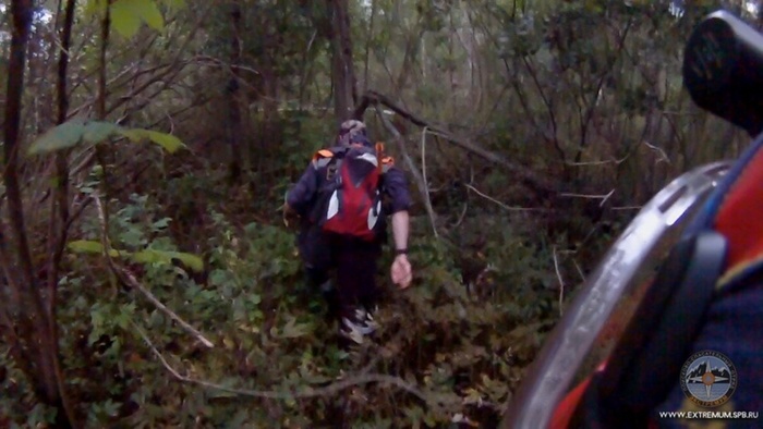 Чудесный прогулочный парк