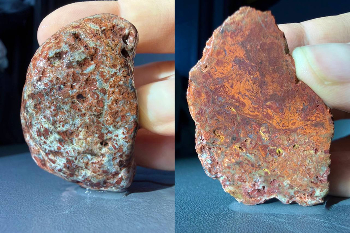 ������� ������