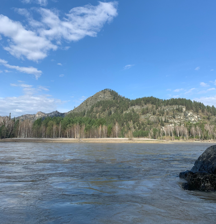 ��� �� �����-��� � ���������������� ������ ������