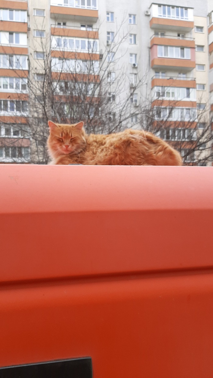 � ����� ������� �����������, �� ����� �����.