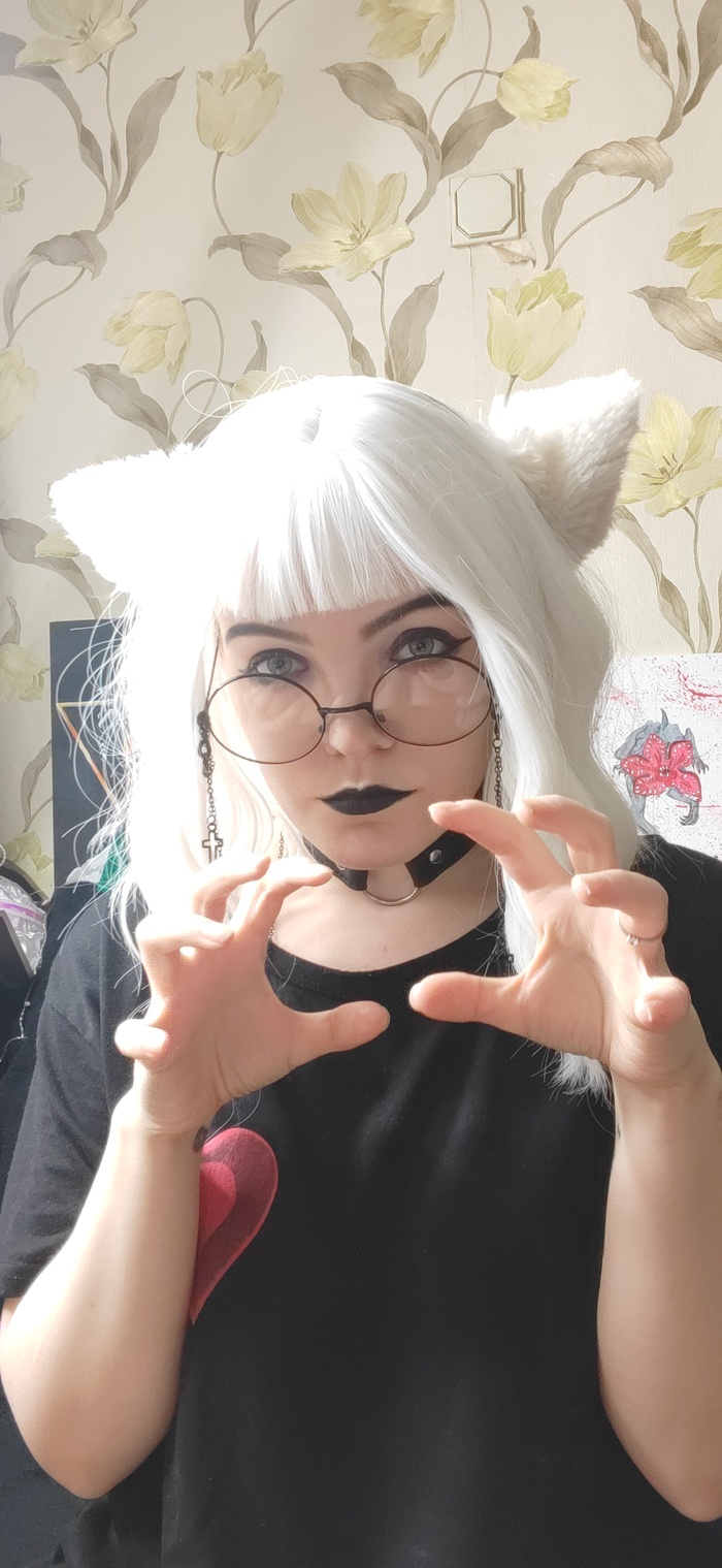 ������ ������ ������ ����� ����� 