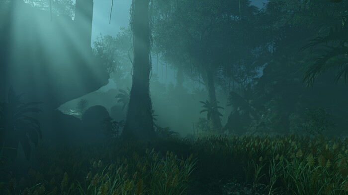 �����. ���� �� ����