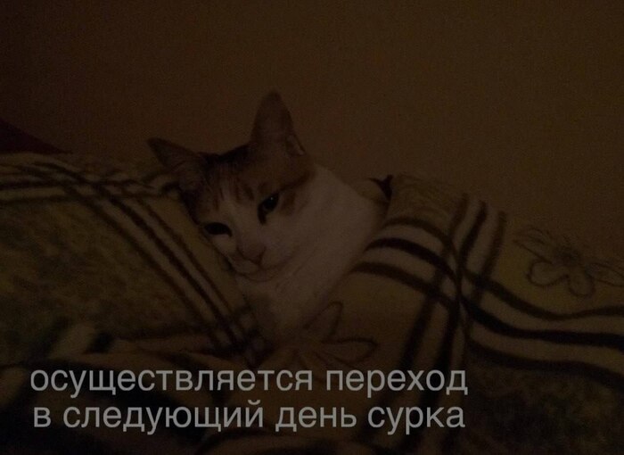 ���� �����