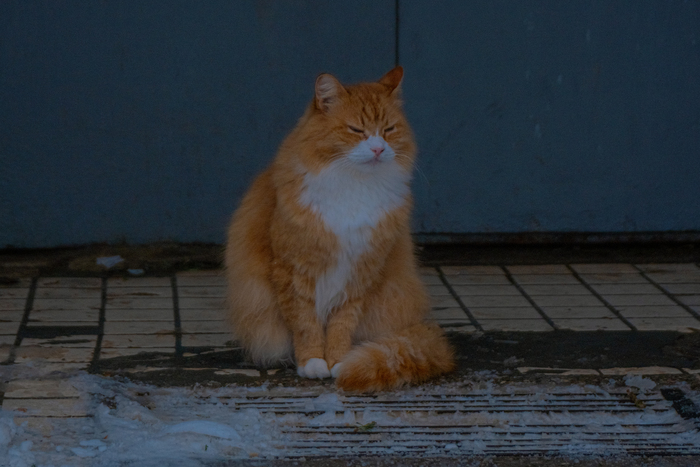 ���������� ���