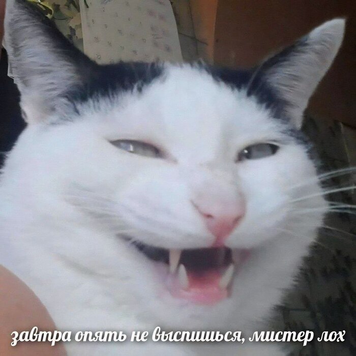 � �������