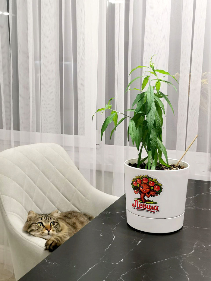 7 �������. ��������� ��������� � ��������.