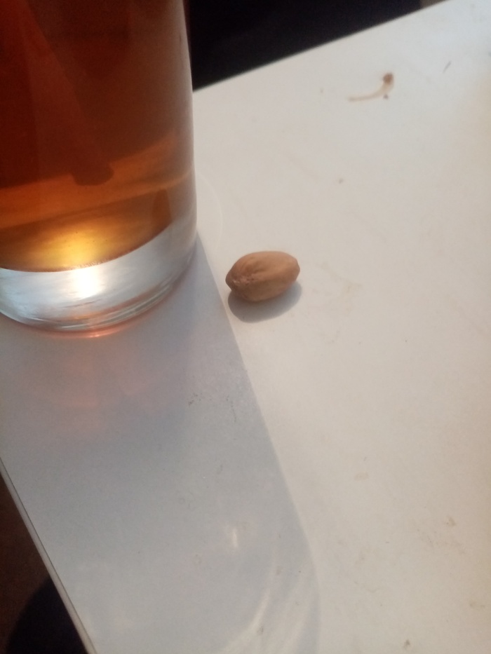 ����� ���������� �����������