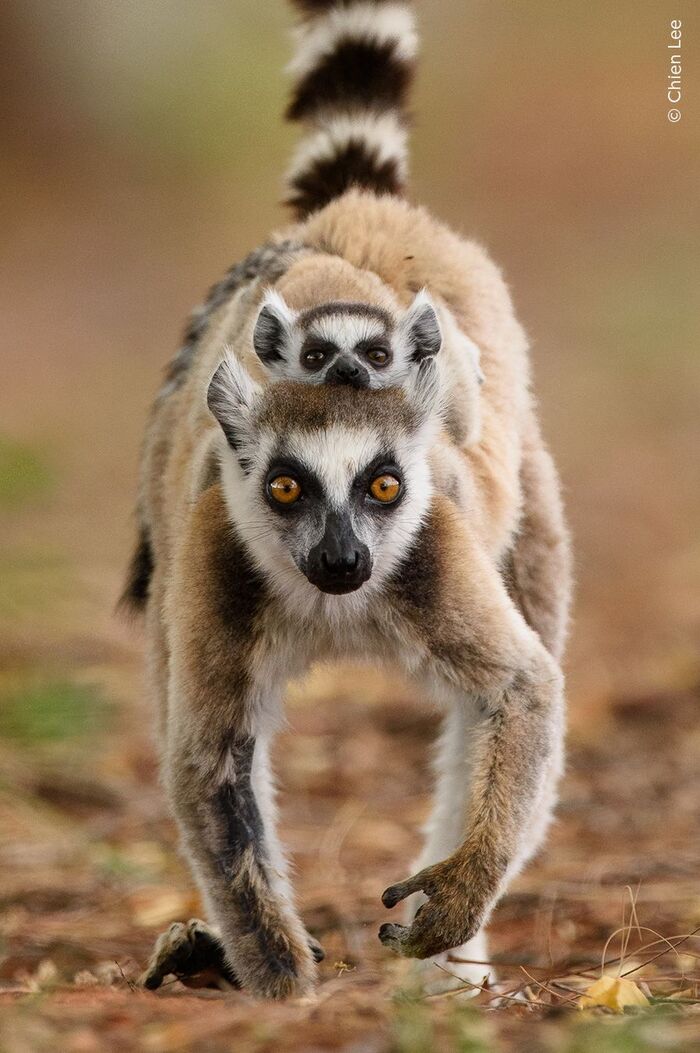 ����� ��������� ������ � ������������� ��������