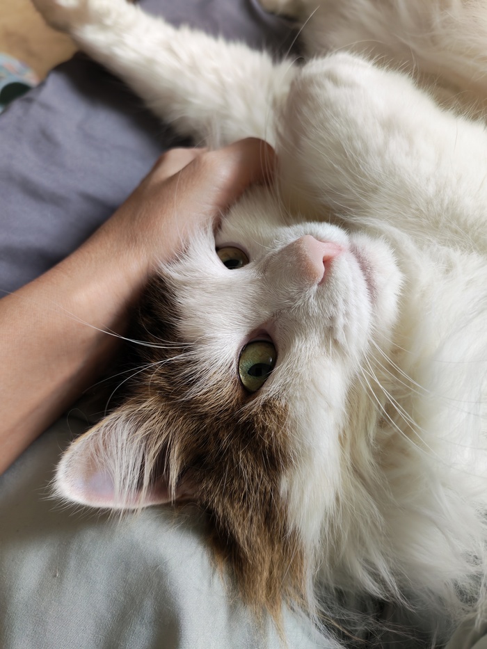 ���������� ����� � �������� �������