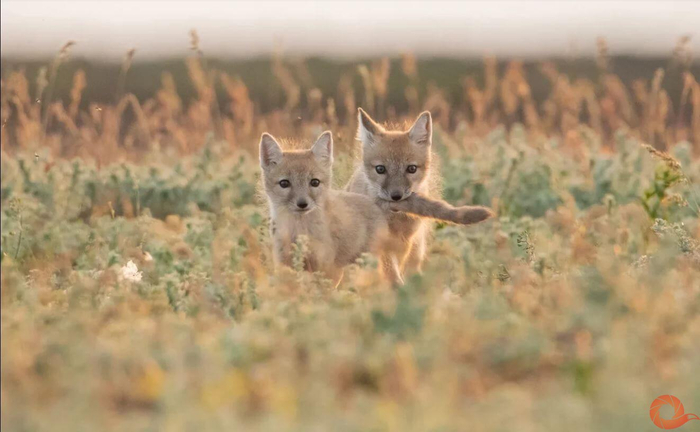 ����: ������ ������� <a href="https://pikabu.ru/story/korsachata_13694785?u=https%3A%2F%2Ft.me%2Ffotocultpr%2F602&t=%D0%BE%D1%82%D1%81%D1%8E%D0%B4%D0%B0&h=82a848ec860323f617d4a215b8a3d7039a7e9e38" title="https://t.me/fotocultpr/602" target="_blank" rel="nofollow noopener">������</a>