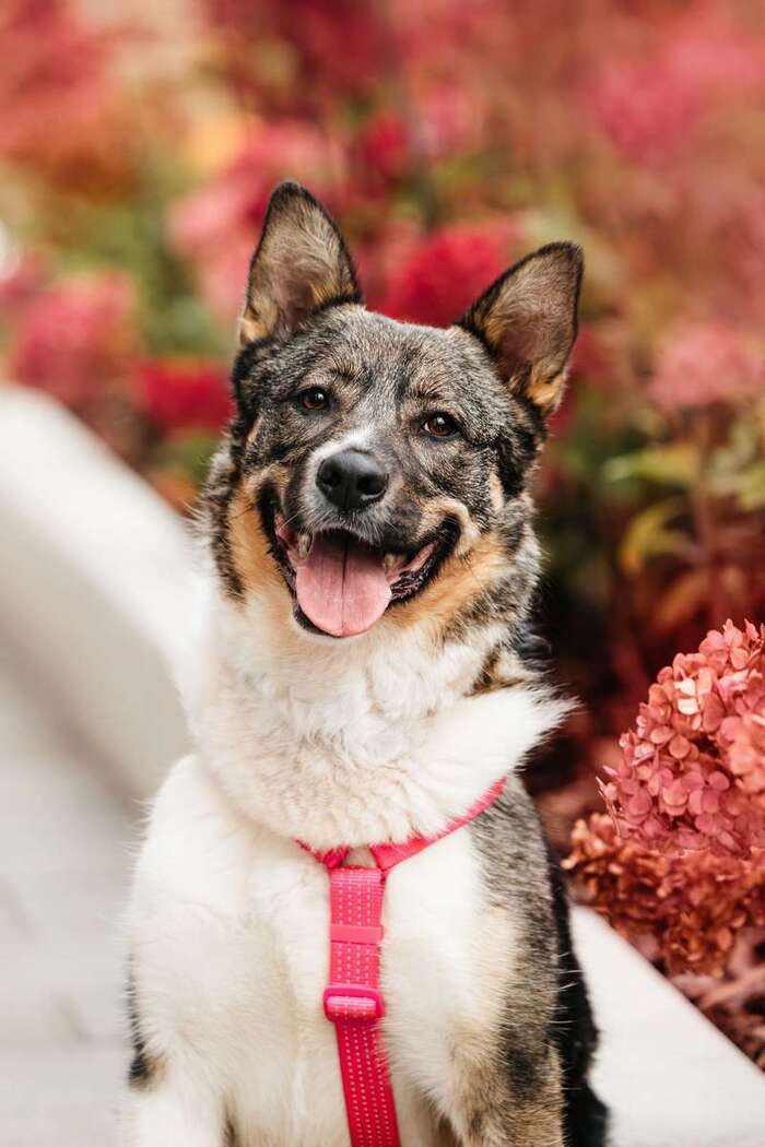 Ураган Маруф в поисках своего человека! Москва и МО