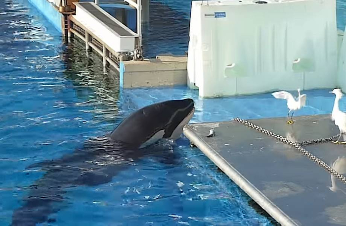 ������, �������� �����!