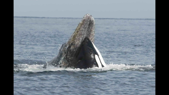 ���������� ����: ����� ��������, ��� ������� ����� �� �����. �� ����� �� ���� � ��� ����� ����� � ���� ����.