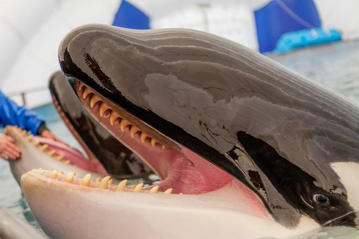 �����, �������, ����, �� ��� ������������� ��������� � ��������� � �������� ����� � ����� �� ����� ������� �����.