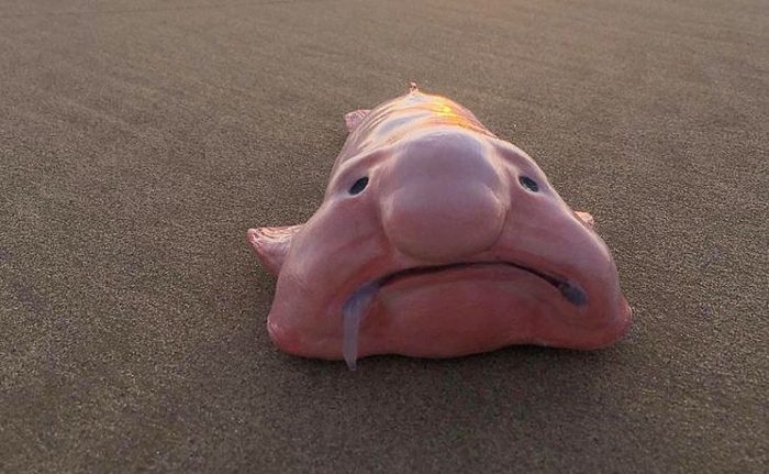 � ��� �����.