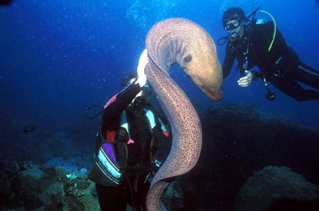 ������ ���� ������, ���� ������. ����� ���� �� ���������?!